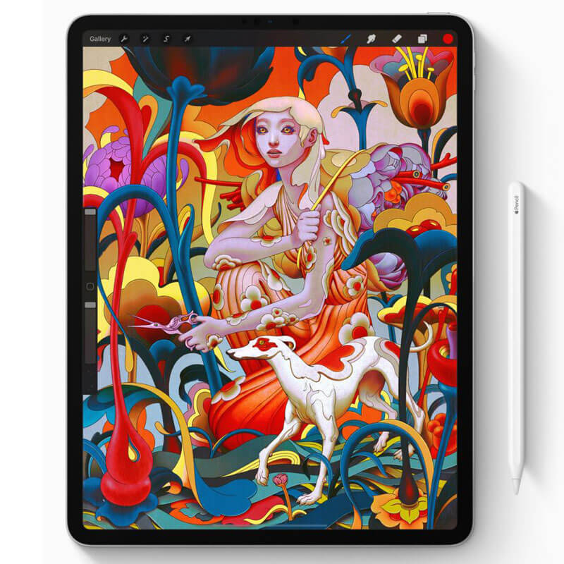iPad Pro 11 inch (2018) 64GB - CardTOT