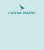 Cathay Pacific ưu đãi 10% giá vé máy bay thanh toán bằng thẻ HSBC